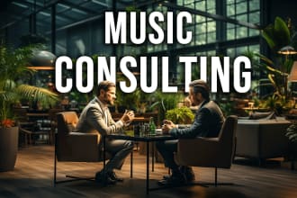 provide music consulting to help your artist career