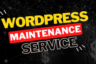 provide wordpress maintenance, support and management