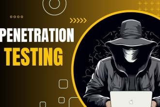 do manual penetration testing  find vulnerability in website