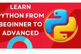 teach you python from basic to advanced