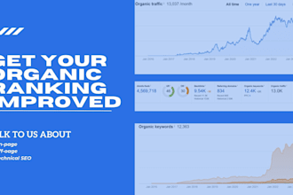 boost your rankings with comprehensive SEO services