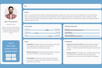 design a user persona with your pain points and goals