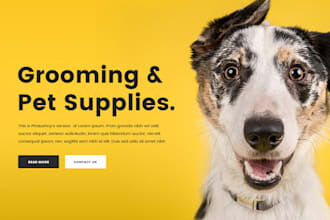 do pet care website design