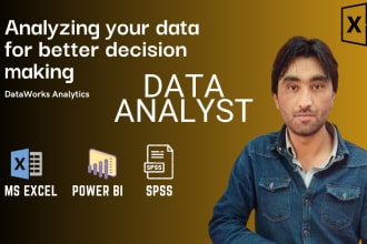 do data analyst and data visualization excel report and power bi dashboard