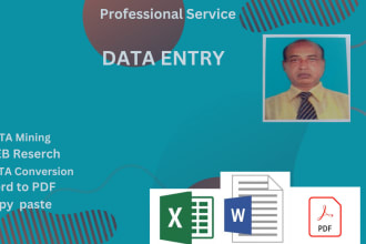 do data entry, pdf convert, translation and web research job