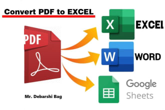 convert pdf to excel or google sheet, csv, pdf to word data entry