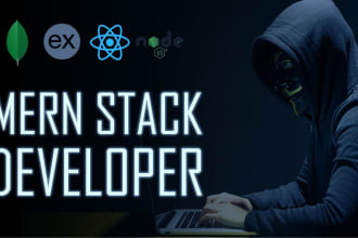 be your professional mern stack developer