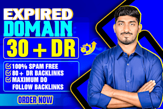 find the best high DR 30 expired domains for SEO and backlinks