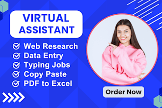 do fast accurate data entry, web research, typing and copy paste