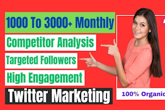 do twitter promotion and marketing with fast organic growth