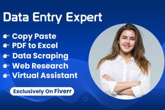 do perfect data entry web research data scraping google map scraping