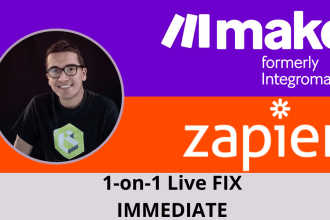 do 1 on 1 live fix help session for zapier or make
