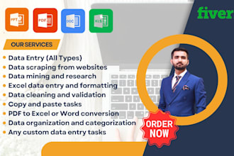 be freelance data entry work, data formatting and cleaning