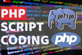 write custom php script or code