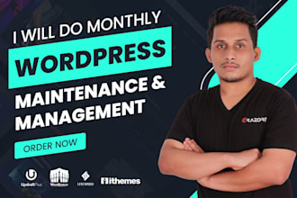 do monthly wordpress maintenance and management