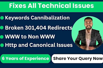 fixes keyword cannibalization, 301 redirect, 404 error, broken link, http issues