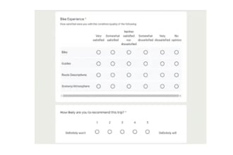 make any type of form using google forms and data entry work