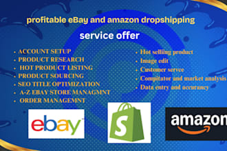 expert amazon to ebay dropshipping service  profitable sales