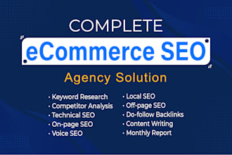 full ecommerce SEO agency solution, monthly package