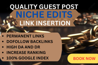 do niche edit link insertion guest post link building service