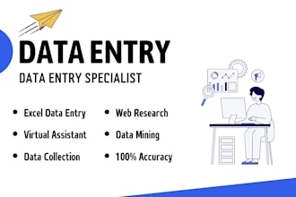 be your fast and accurate data entry specialist