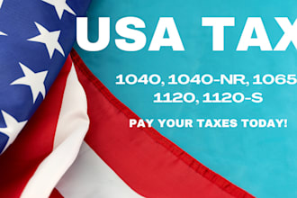 prepare and file USA tax, 1050, 1065, 1120 and 1120s