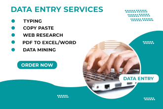 do excel data entry, convert pdf to excel, copy paste, typing and web research