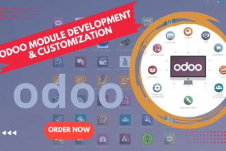 do professional odoo development and customization services