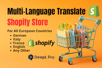 do professional multilingual shopify store translation