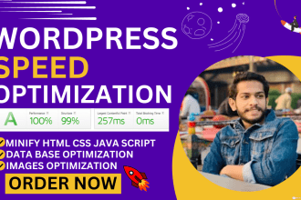 increase wordpress speed optimization, wordpress speed in pagespeed and gtmetrix
