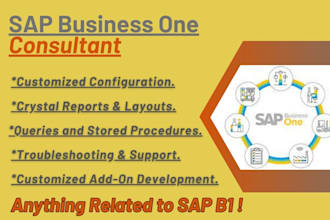 be your sap business one consultant