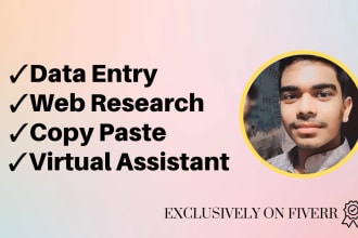 do product data entry services for online marketplaces
