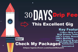 boost your rank 30 day SEO drip feed link building services