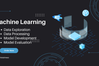 expert machine learning engineer for your data driven success