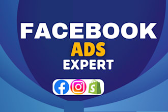 be your facebook ads manager, fb ads, instagram ads, fb marketing, meta ads