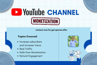 provide complete youtube monetization and organic promotion
