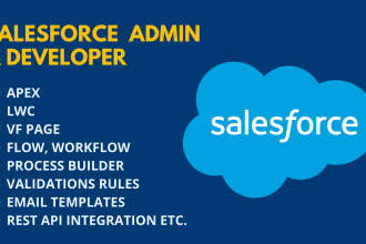 be your salesforce admin and salesforce developer