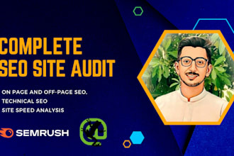 do complete site audit and provide audit report