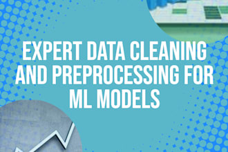 data cleaning and data preprocessing expert for ml models