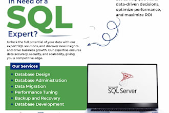 do expert sql queries, database projects, and er diagrams
