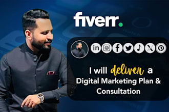 deliver a digital marketing plan and consultation