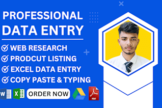do fast data entry, web research, data mining and copy paste