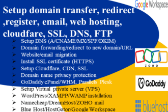 setup domain transfer, redirect ,register, email, web hosting, cloudfare,SSL,dns