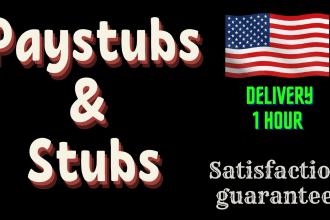 make stubs, paystubs, payroll, w2, 1099 1040 for US