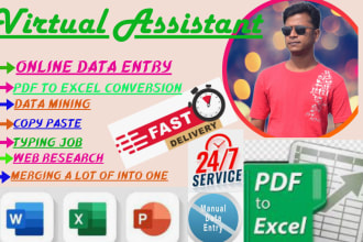 do accurate and fast data entry, PDF to excel and admin support work