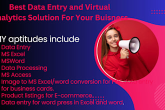 be data entry input operator and virtual assistant