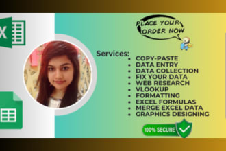do excel data entry, vlookup, excel formulas,data formatting