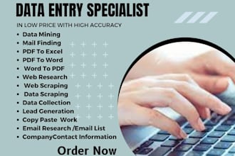 do efficient virtual assistant for data entry and web research