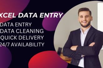 do excel data entry and formatting, and data cleaning