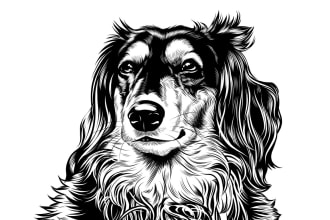 draw detailed black and white line art for your pet